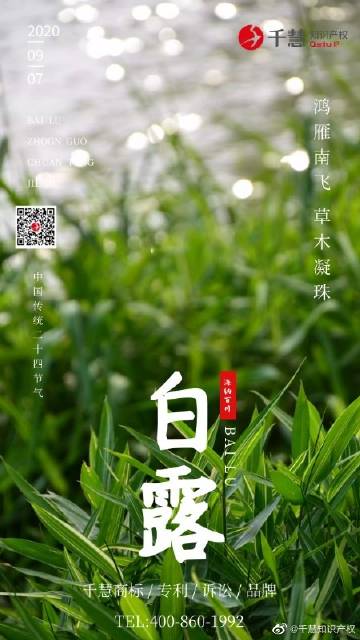 山東千慧知識產權代理咨詢有限公司   關注 g 私信 = 主頁 相冊 392