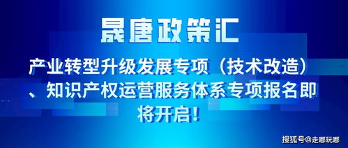 晟唐孵化器 產(chǎn)業(yè)轉型升級發(fā)展專項 知識產(chǎn)權運營服務體系專項報名即將開始